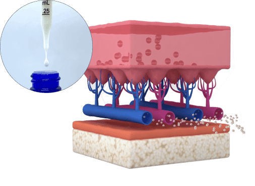 Why-Choose-Hinnao-Right-Image-1